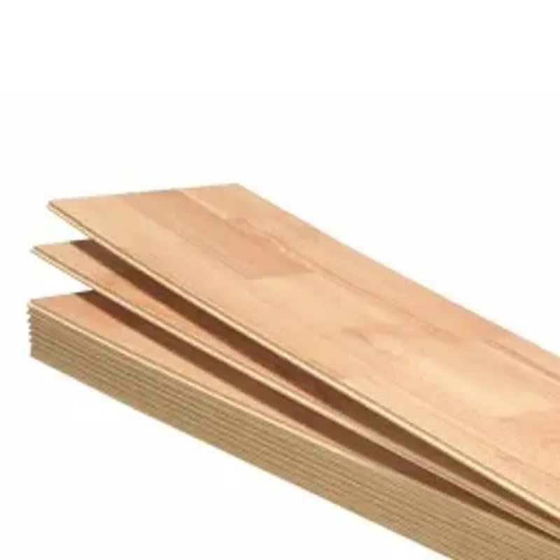 Laminaat vloer - professioneel gelegd